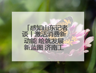 感知山东记者谈丨激活消费新动能 绘就发展新蓝图 济南工业稳产优供