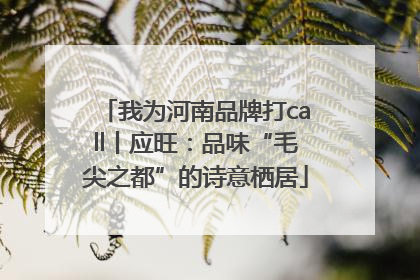 我为河南品牌打call丨应旺：品味“毛尖之都”的诗意栖居