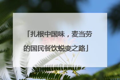 扎根中国味，麦当劳的国民餐饮蜕变之路