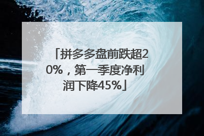 拼多多盘前跌超20%，第一季度净利润下降45%