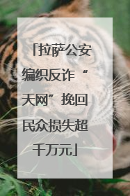 拉萨公安编织反诈“天网”挽回民众损失超千万元