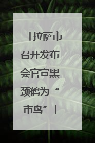 拉萨市召开发布会官宣黑颈鹤为“市鸟”