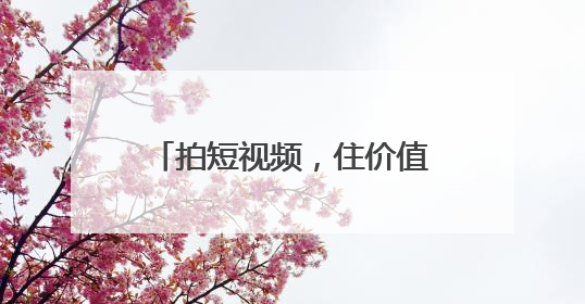 拍短视频，住价值3699元卡通房！今夏，舟山超人气鹈鹕酒店等你来！
