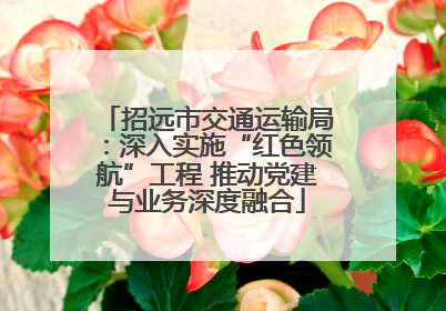 招远市交通运输局：深入实施“红色领航”工程 推动党建与业务深度融合