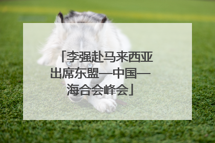 李强赴马来西亚出席东盟—中国—海合会峰会