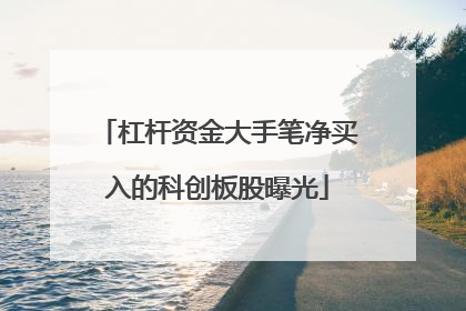 杠杆资金大手笔净买入的科创板股曝光