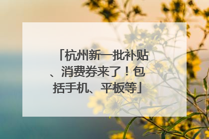 杭州新一批补贴、消费券来了！包括手机、平板等