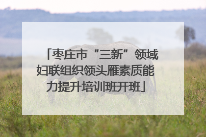 枣庄市“三新”领域妇联组织领头雁素质能力提升培训班开班