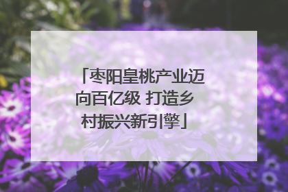 枣阳皇桃产业迈向百亿级 打造乡村振兴新引擎