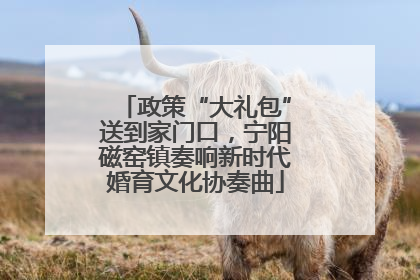 政策“大礼包”送到家门口，宁阳磁窑镇奏响新时代婚育文化协奏曲