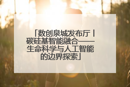 数创泉城发布厅丨碳硅基智能融合——生命科学与人工智能的边界探索