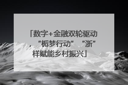 数字+金融双轮驱动，“栀梦行动”“浙”样赋能乡村振兴