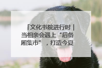 文化书院进行时｜当相亲会遇上“后备厢集市”，打造今夏独有的浪漫