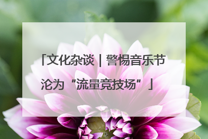 文化杂谈｜警惕音乐节沦为“流量竞技场”