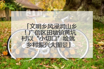 文明乡风浸润山乡！广信区田墩镇黄坑村以“小切口”绘就乡村振兴大图景