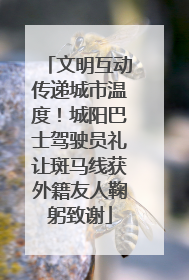 文明互动传递城市温度！城阳巴士驾驶员礼让斑马线获外籍友人鞠躬致谢