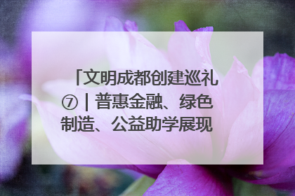 文明成都创建巡礼⑦｜普惠金融、绿色制造、公益助学展现城市文明底色
