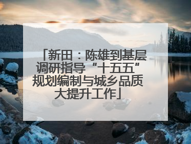 新田：陈雄到基层调研指导“十五五”规划编制与城乡品质大提升工作