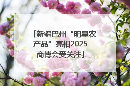 新疆巴州“明星农产品”亮相2025商博会受关注