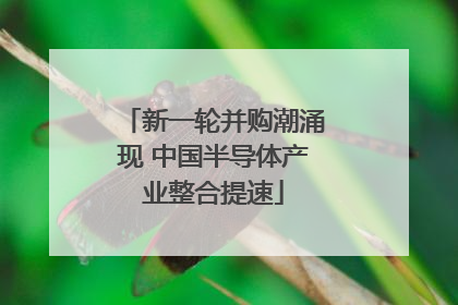新一轮并购潮涌现 中国半导体产业整合提速