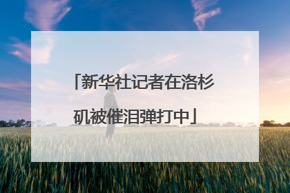 新华社记者在洛杉矶被催泪弹打中