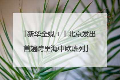 新华全媒＋丨北京发出首趟跨里海中欧班列