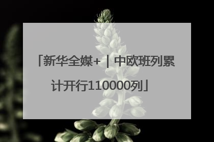 新华全媒+｜中欧班列累计开行110000列