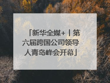 新华全媒+丨第六届跨国公司领导人青岛峰会开幕