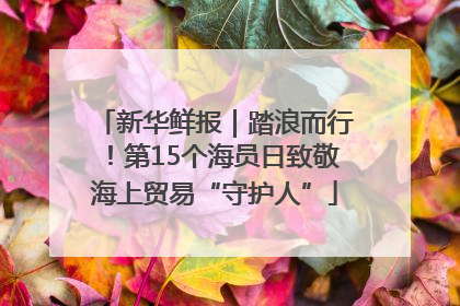 新华鲜报｜踏浪而行！第15个海员日致敬海上贸易“守护人”