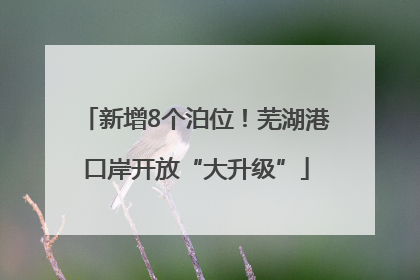 新增8个泊位！芜湖港口岸开放“大升级”