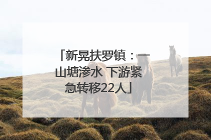 新晃扶罗镇：一山塘渗水 下游紧急转移22人