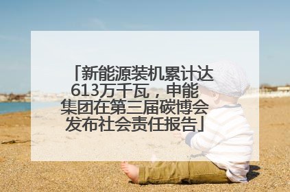 新能源装机累计达613万千瓦，申能集团在第三届碳博会发布社会责任报告