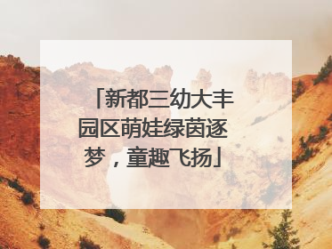 新都三幼大丰园区萌娃绿茵逐梦，童趣飞扬