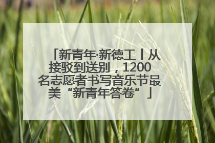 新青年·新德工丨从接驳到送别，1200名志愿者书写音乐节最美“新青年答卷”