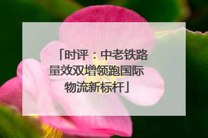 时评：中老铁路量效双增领跑国际物流新标杆