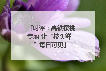 时评：高铁樱桃专厢 让“枝头鲜”每日可见
