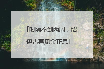 时隔不到两周，绍伊古再见金正恩