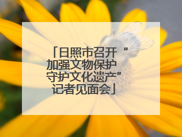 日照市召开“加强文物保护 守护文化遗产”记者见面会