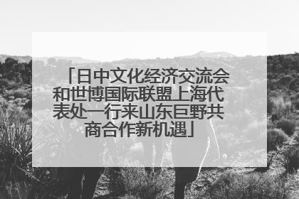 日中文化经济交流会和世博国际联盟上海代表处一行来山东巨野共商合作新机遇