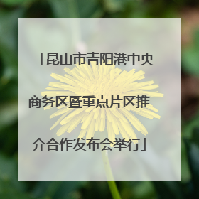 昆山市青阳港中央商务区暨重点片区推介合作发布会举行