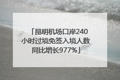 昆明机场口岸240小时过境免签入境人数同比增长977%