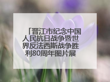 晋江市纪念中国人民抗日战争暨世界反法西斯战争胜利80周年图片展主题活动