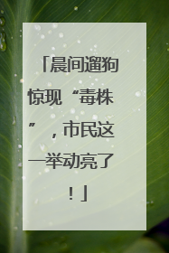 晨间遛狗惊现“毒株”，市民这一举动亮了！
