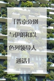 普京分别与伊朗和以色列领导人通话