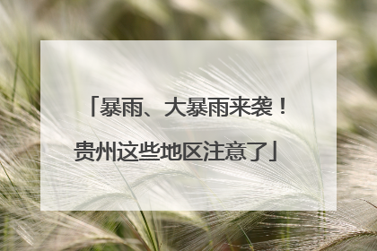 暴雨、大暴雨来袭！贵州这些地区注意了
