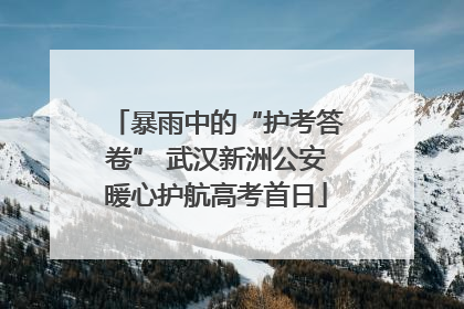 暴雨中的“护考答卷” 武汉新洲公安暖心护航高考首日