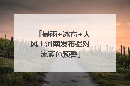 暴雨+冰雹+大风！河南发布强对流蓝色预警