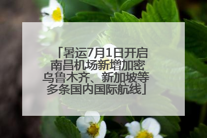 暑运7月1日开启 南昌机场新增加密乌鲁木齐、新加坡等多条国内国际航线