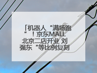 机器人“满场跑”！京东MALL北京二店开业 刘强东“等比例复刻”能否带火线下“618”？