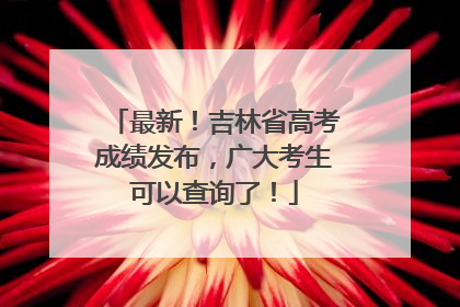 最新！吉林省高考成绩发布，广大考生可以查询了！